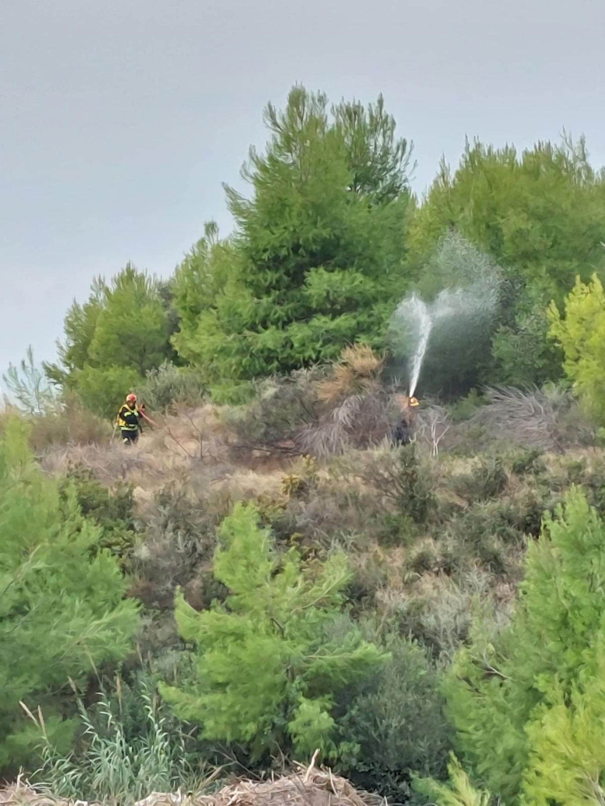 Άσκηση Δασικής Πυρκαγιάς με Λιμενικό και ΕΚΑΒ