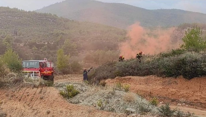 Πυρκαγιά σε εξέλιξη