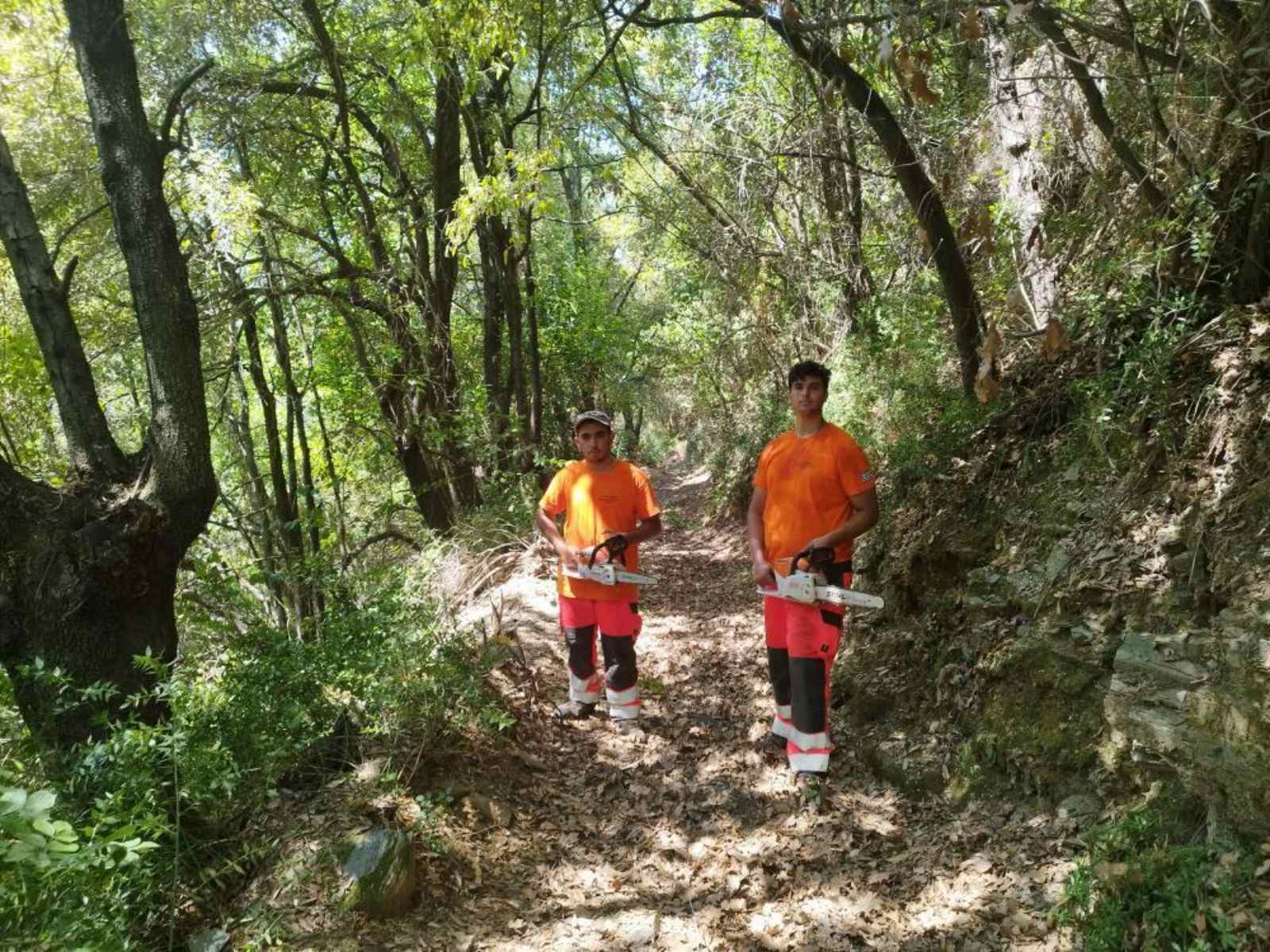 Εθελοντική Βοήθεια στη Μονή Βατοπεδίου Αγίου Όρους