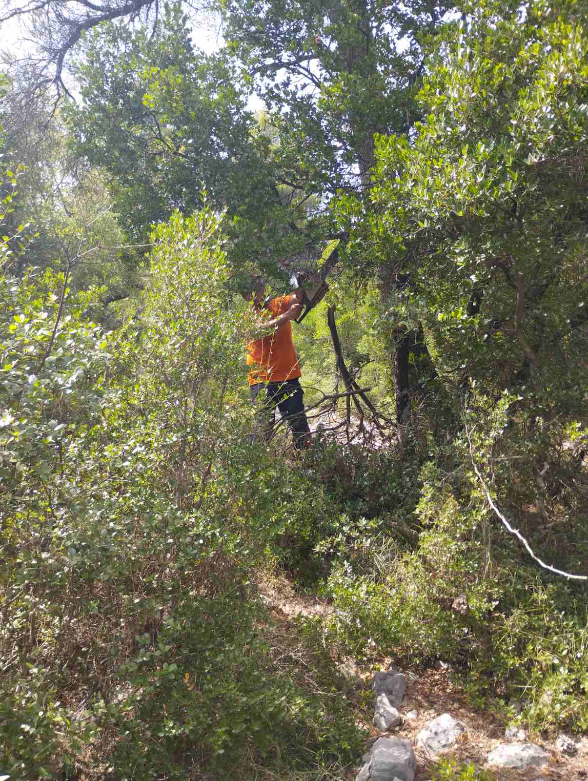 Διάνοιξη Μονοπατιών