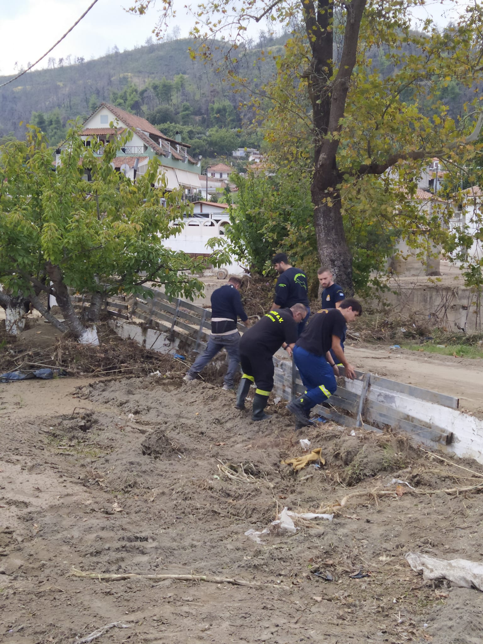 Αποκατάσταση Ζημιών