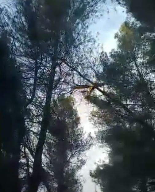Άμεση Επέμβαση στη Φωτιά της Λιχάδας