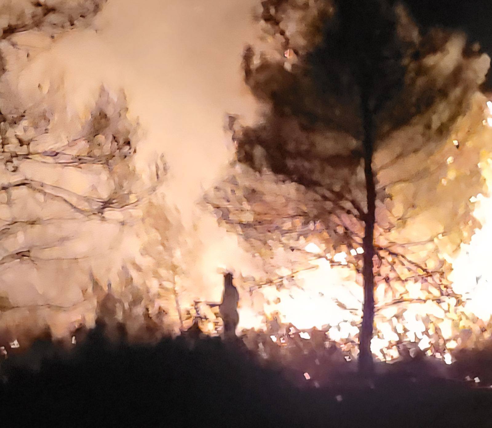 Επιχείρηση Κατάσβεσης Πυρκαγιάς στη Βόρεια Εύβοια
